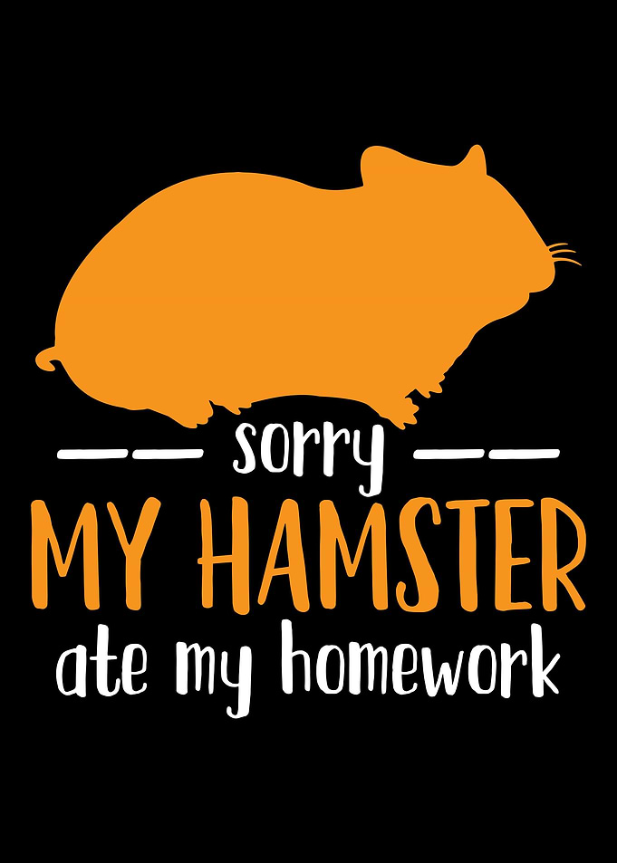 Hamster Student Hamster Ow