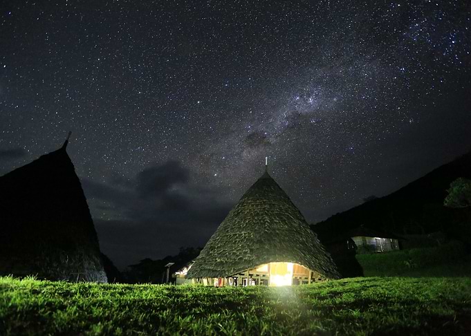 Amazing Stars