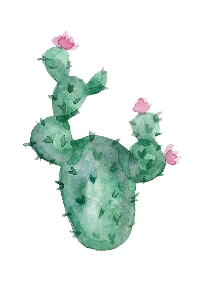 Modern Cactus