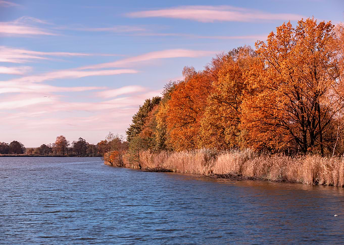 Autumn sunset, lake, trees