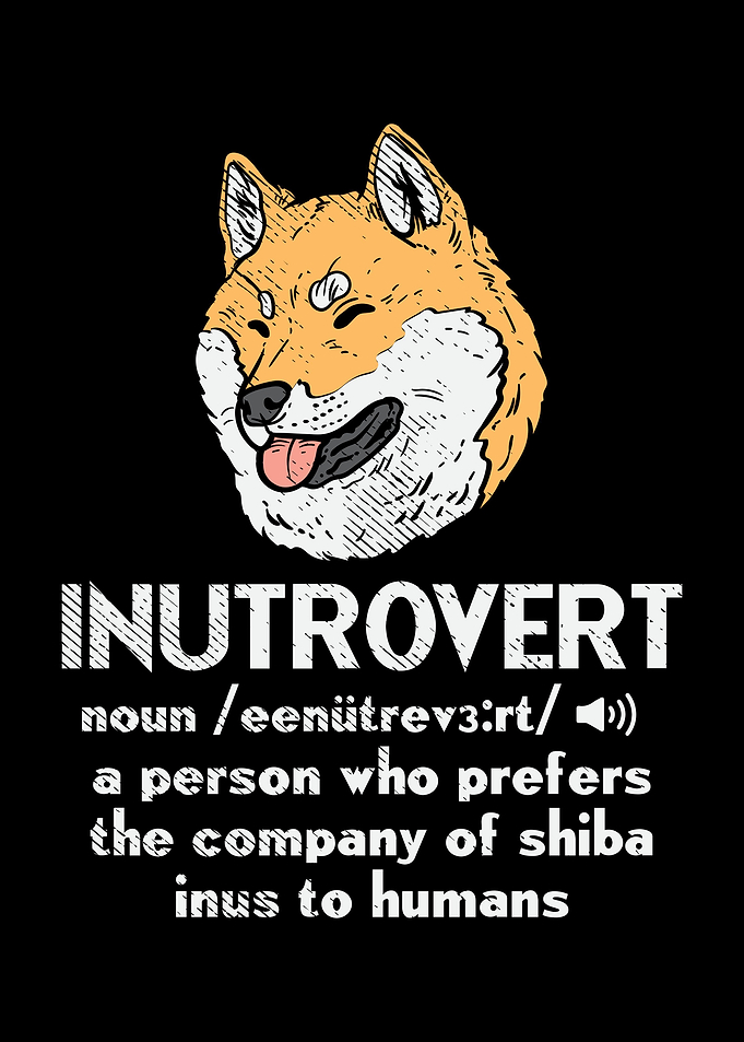 Inutrovert A Person Who