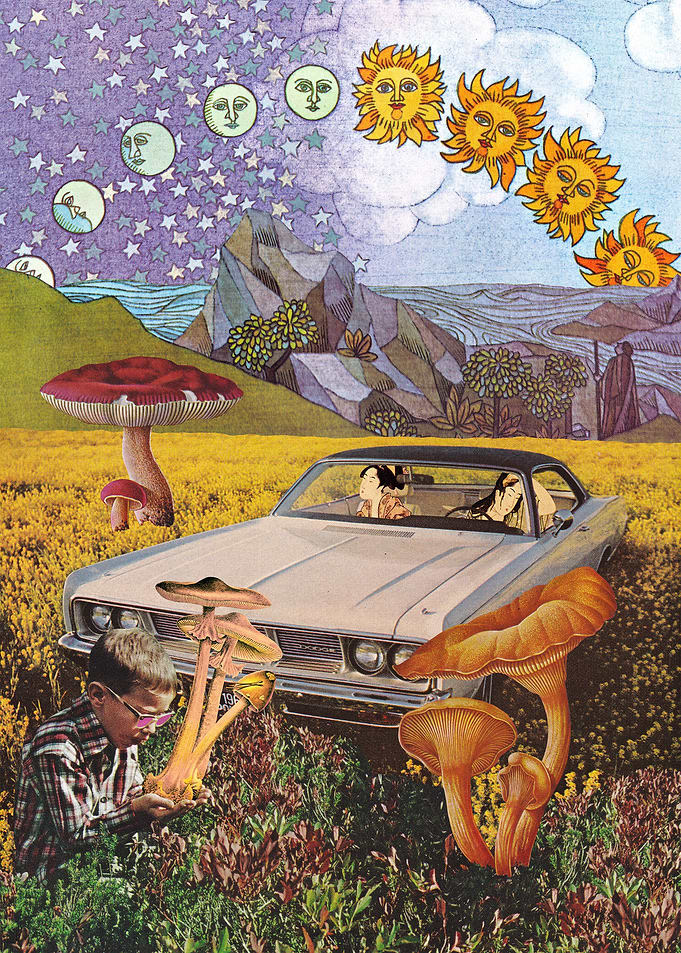Road Trip