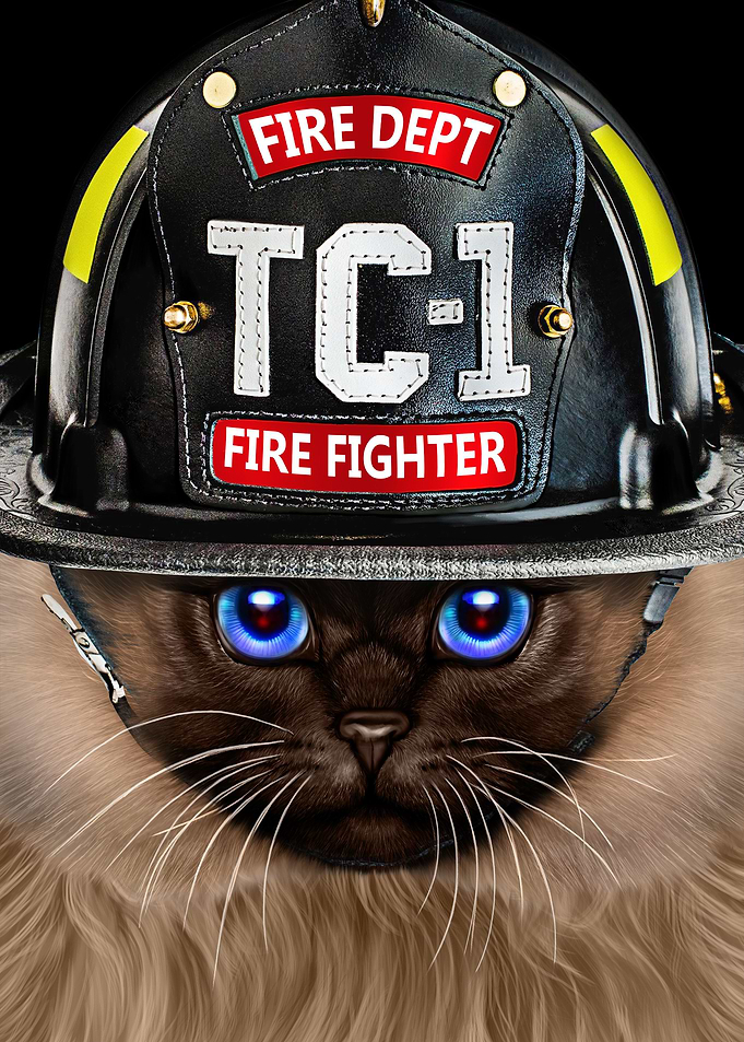 Siamese Cat Firefighter