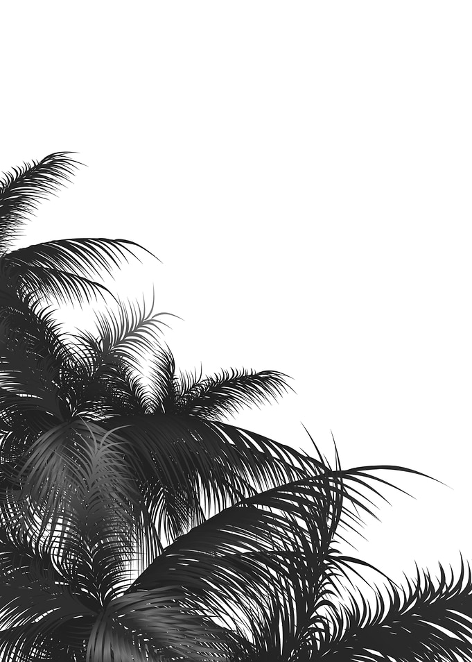 Palm leaves