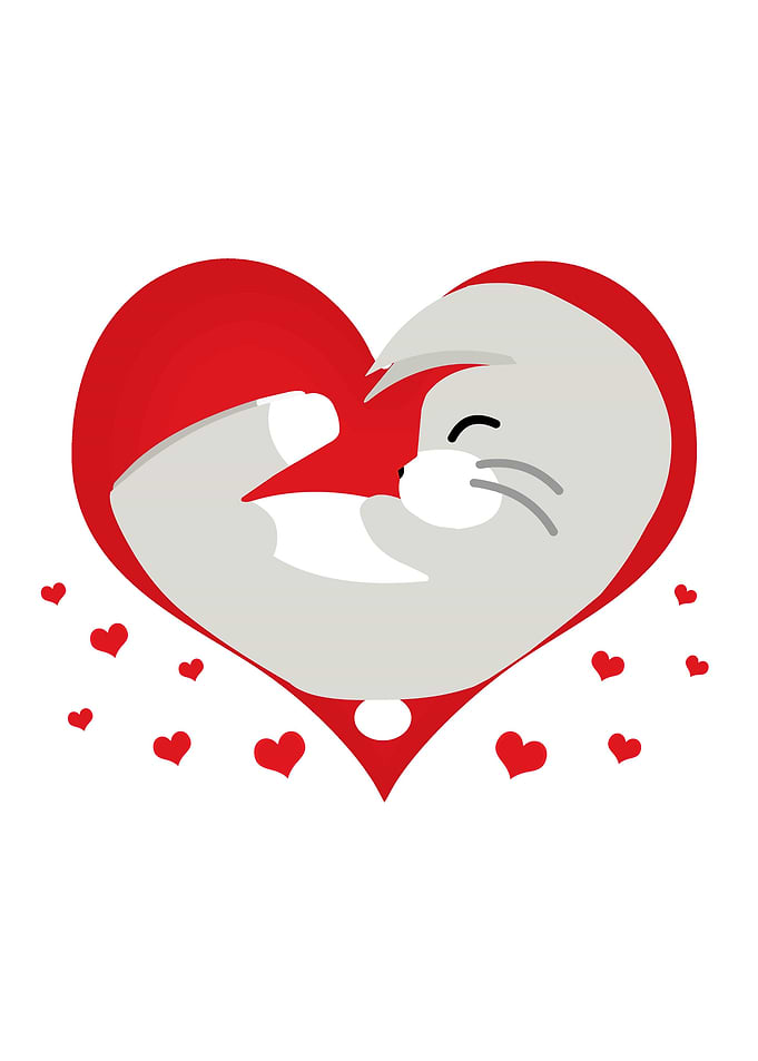 Animal Love