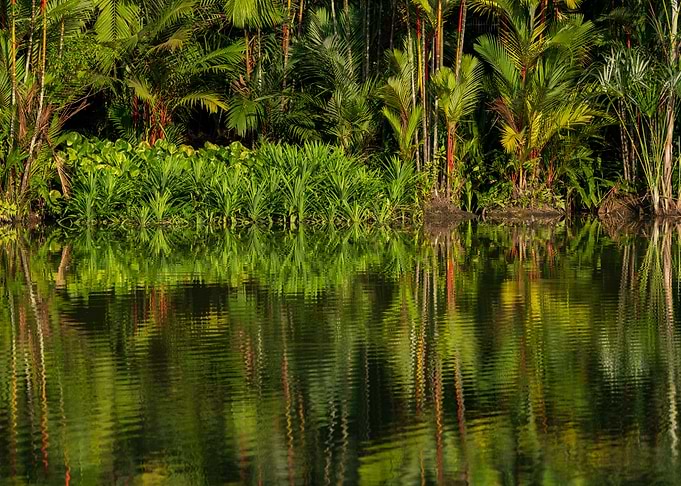 Reflections