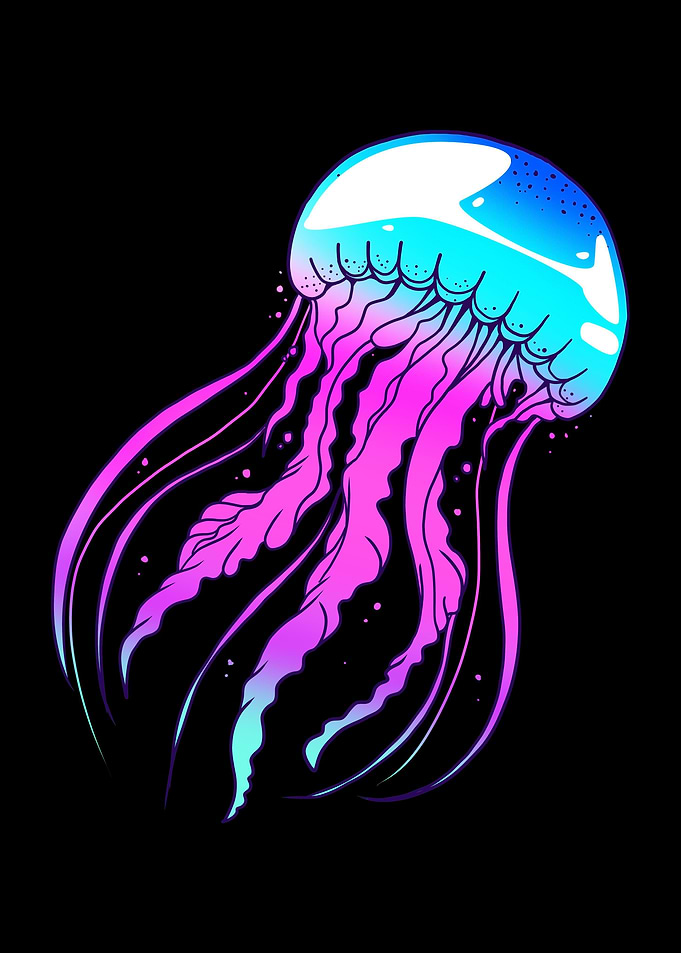 Colorful Jellyfish
