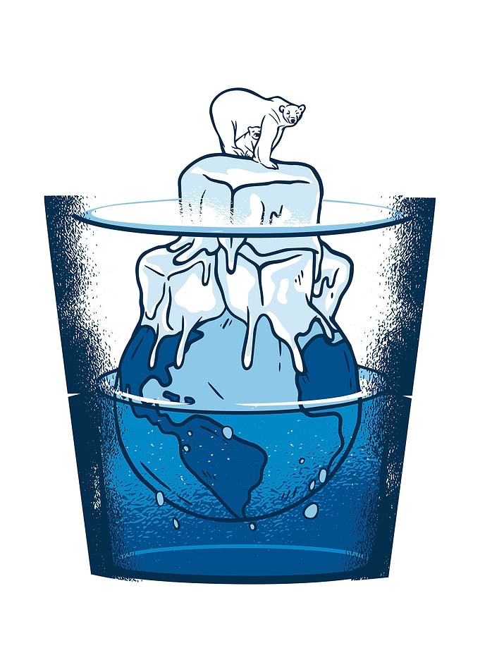 Ice Bear Melting