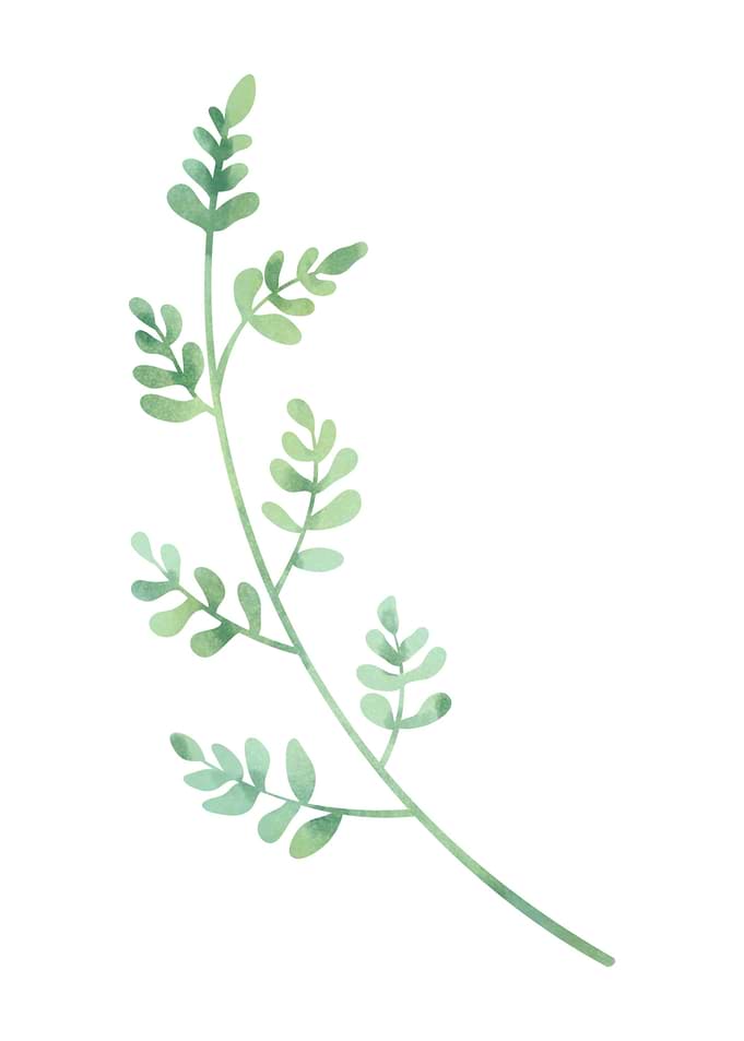 Minimalistic branch