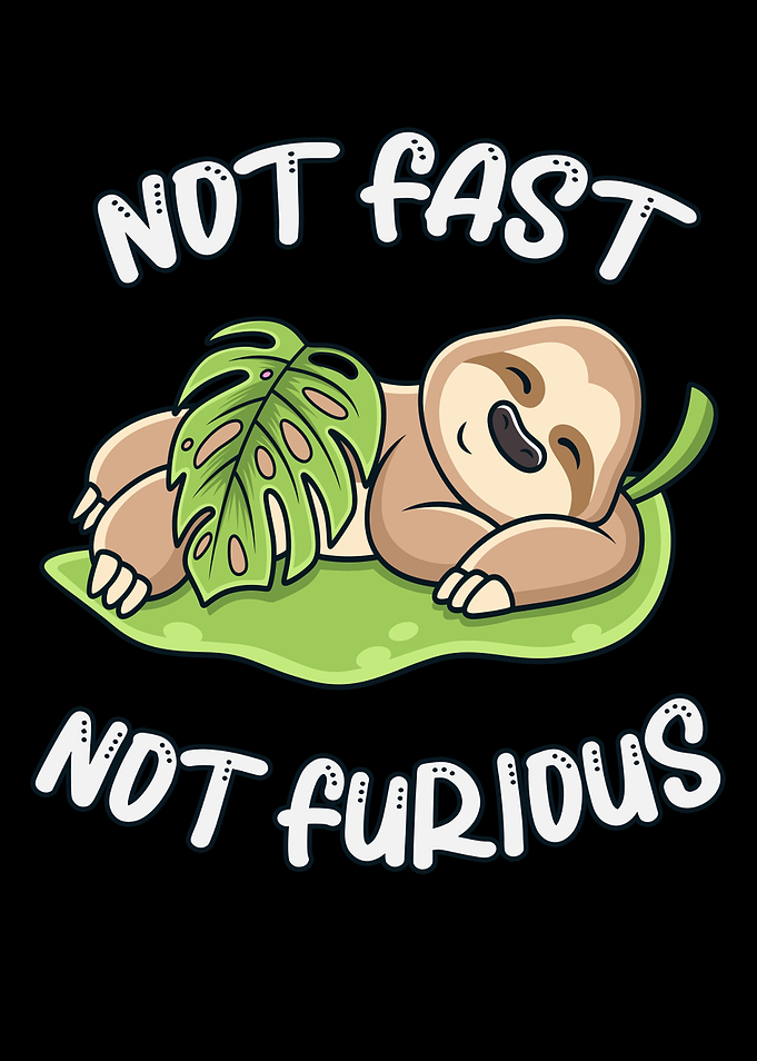 Cute Sloth Sleeping Fun