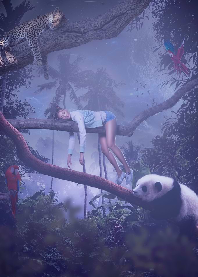 LAZY JUNGLE