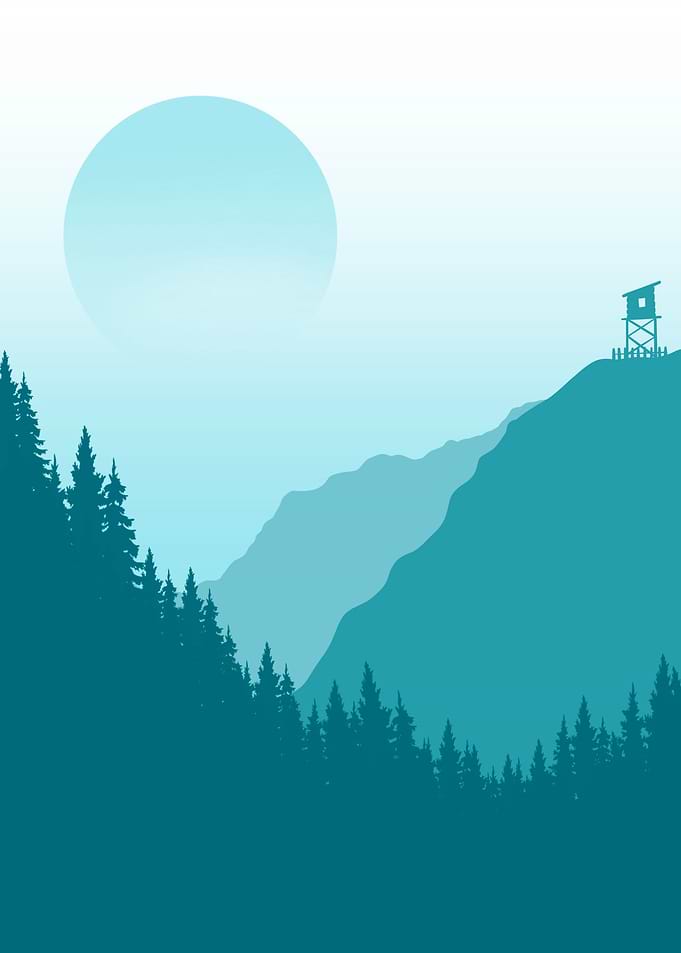 Forest Landscapes