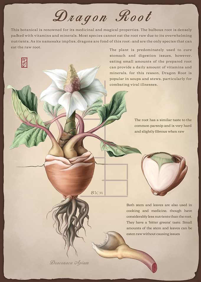 Dragon Root