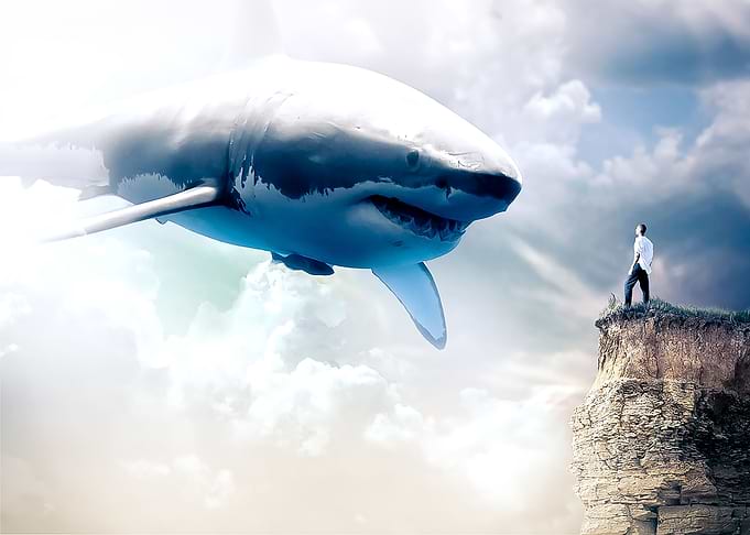 Giant shark attack