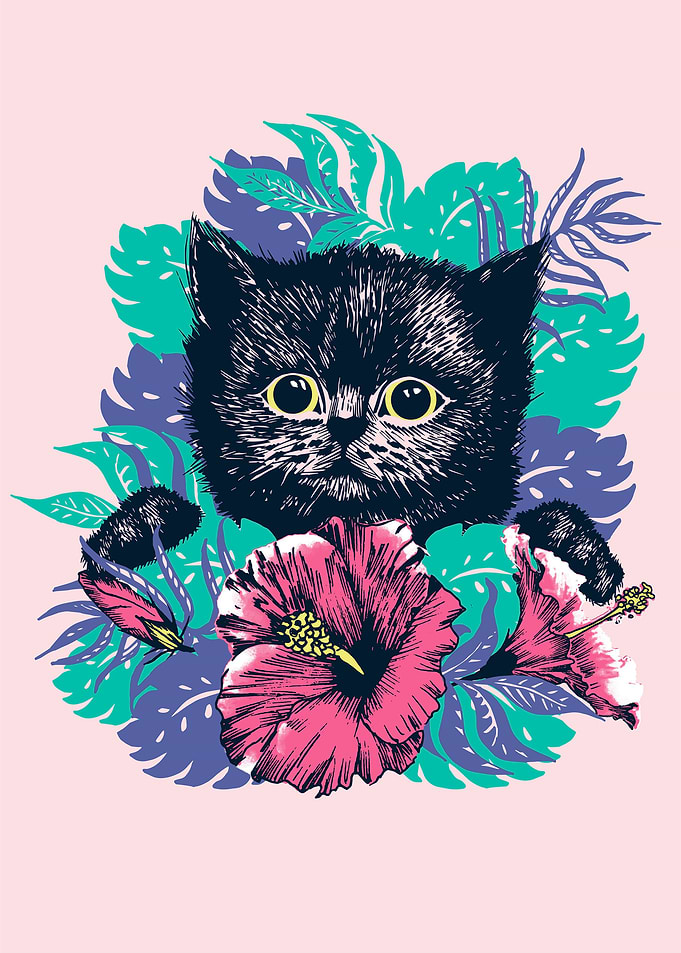 Black kitten