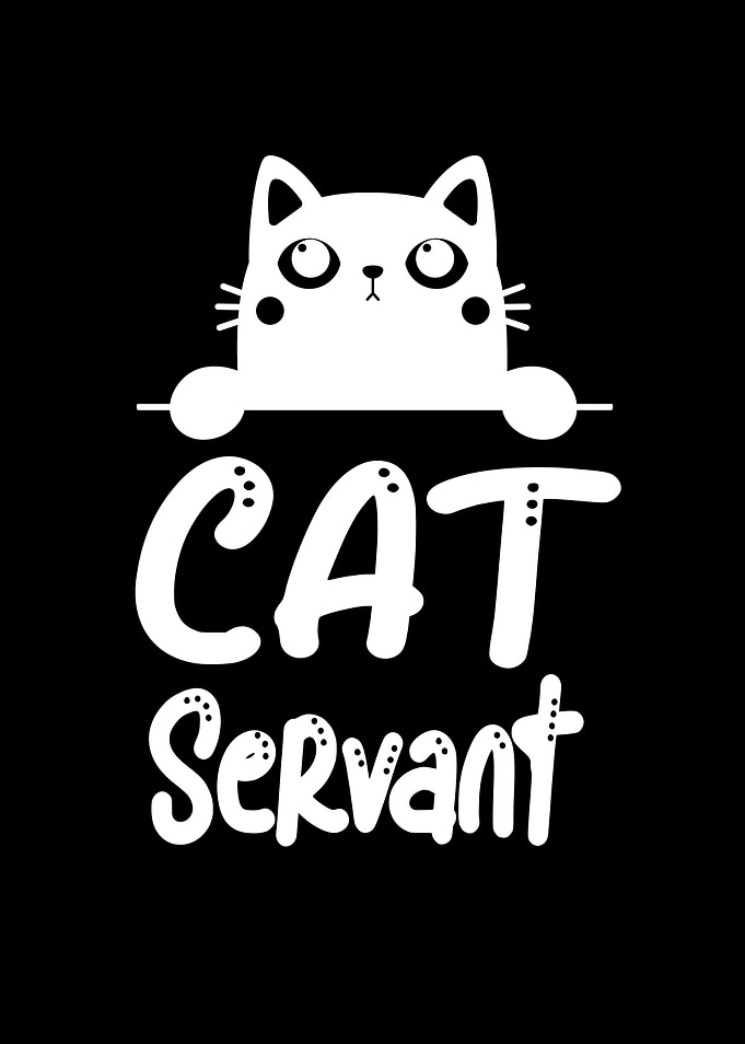 Cat Servant Funny Cats