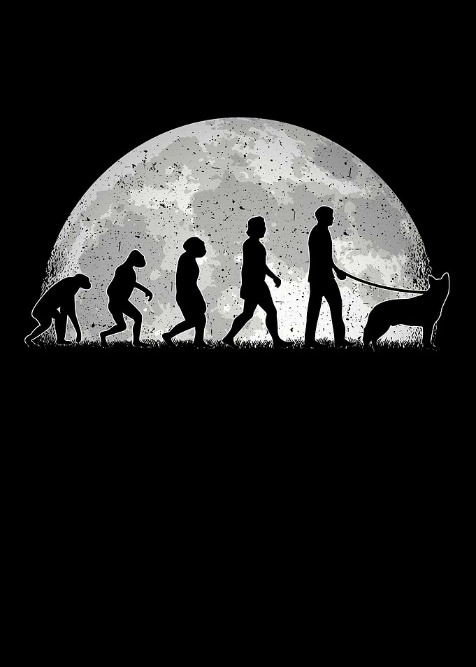 Australian Cattle Dog Moon