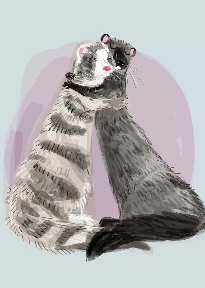 Minky Hugs 2