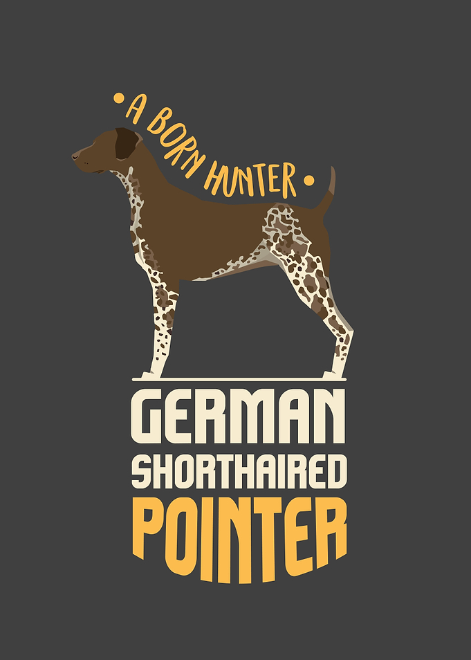 German Shorthaired Pointer