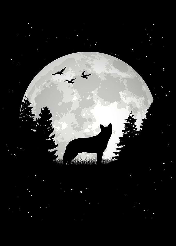 Australian Cattle Dog Moon