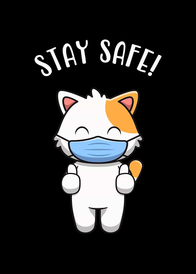 Cute Kitten With Mask Cat