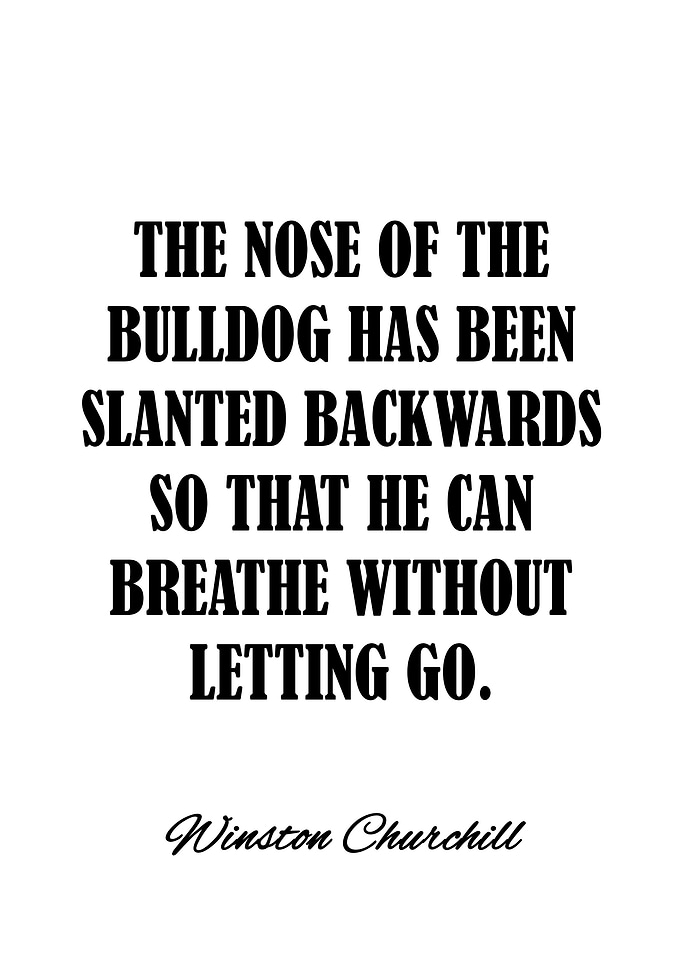 winston churchill quotes