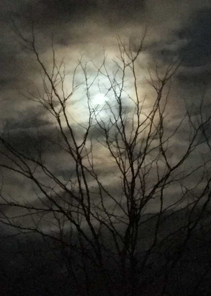 A Full Moon