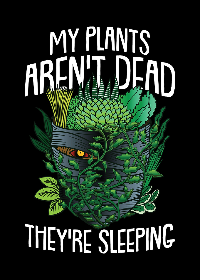 My Plants arent dead they