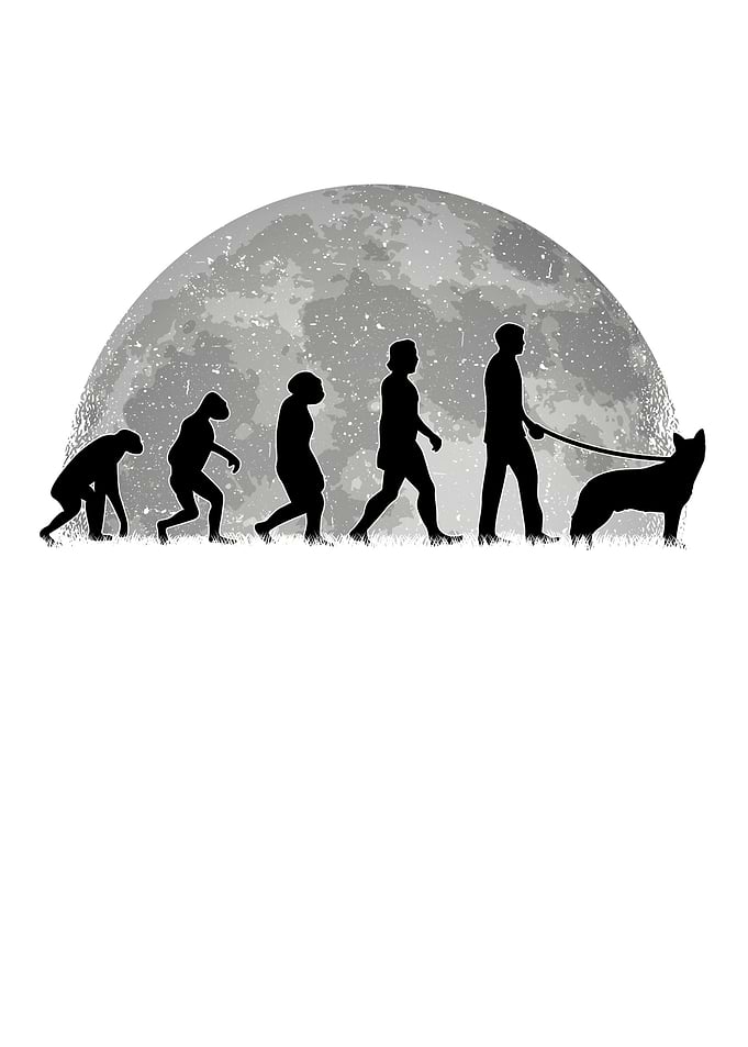 Australian Cattle Dog Moon