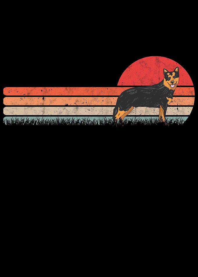 Australian Cattle Dog