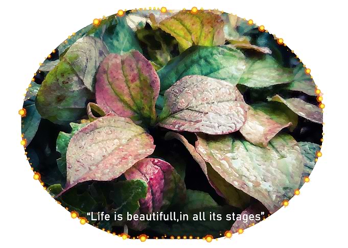 Life beauty in autumn