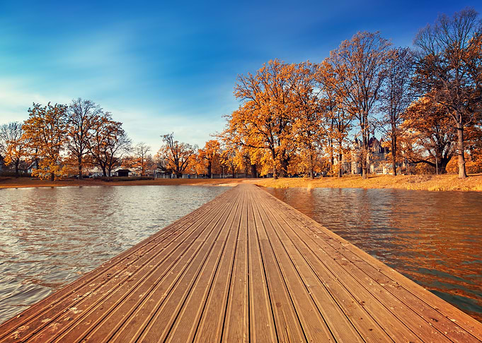 Autumn lake,trees, leaves