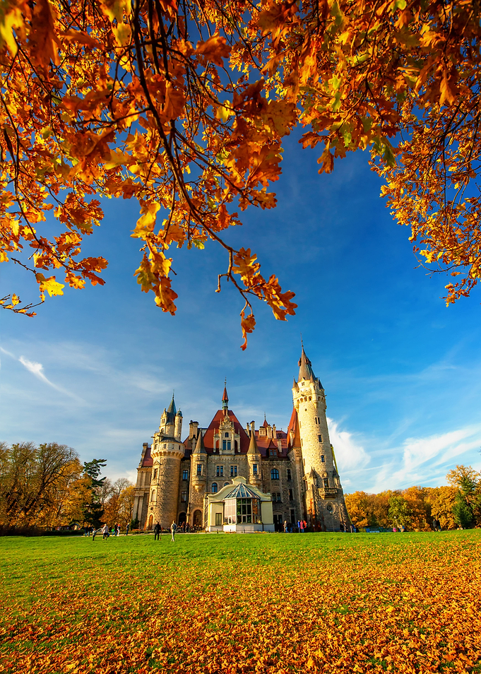 Autumn castle in Poland