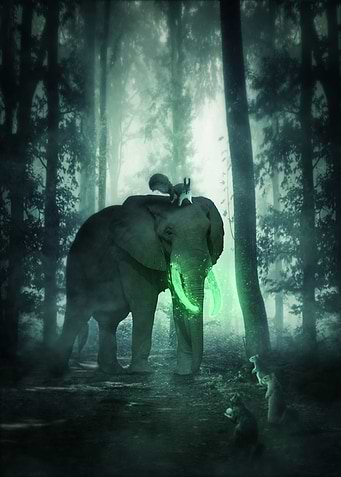 Magical Elephant