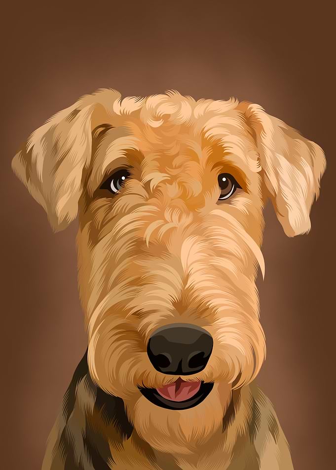Airdale Terrier