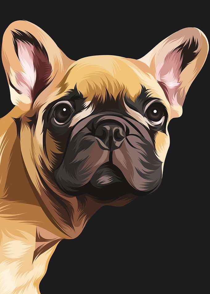Half Child Dog
