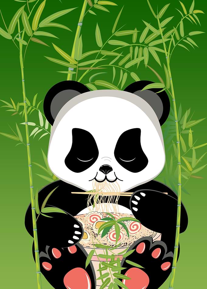 Panda eat ramen