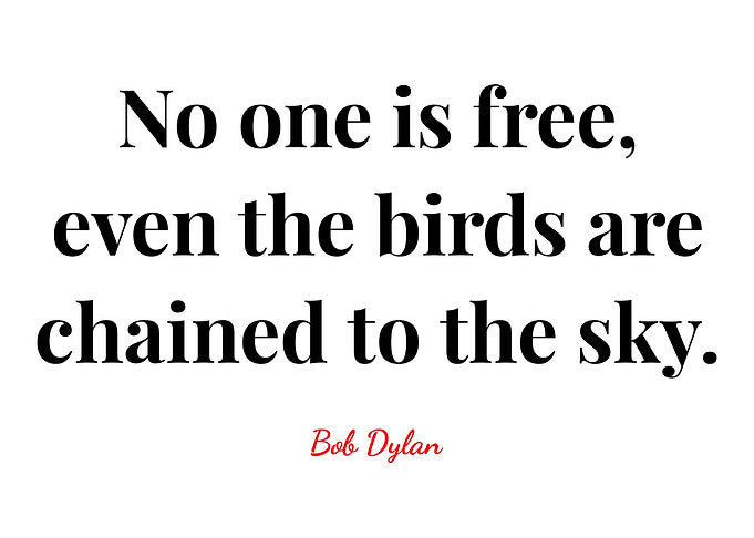 Bob Dylan Quote