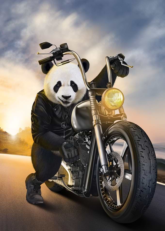 Giant Panda Ride Motorbike