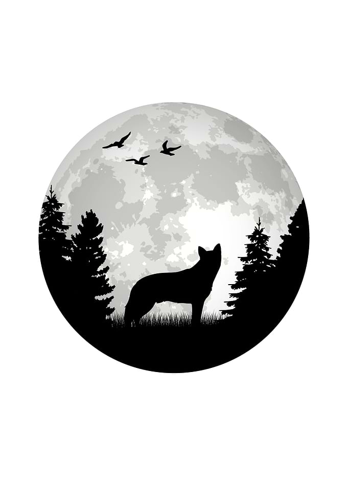 Australian Cattle Dog Moon
