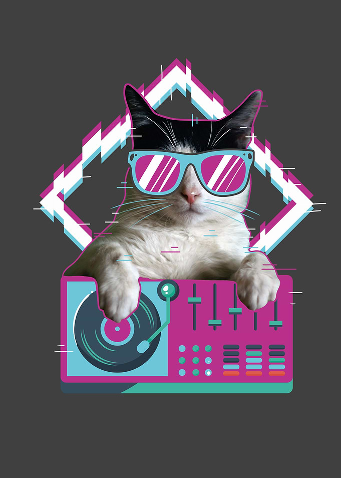 Colorful Rainbow DJ Cat