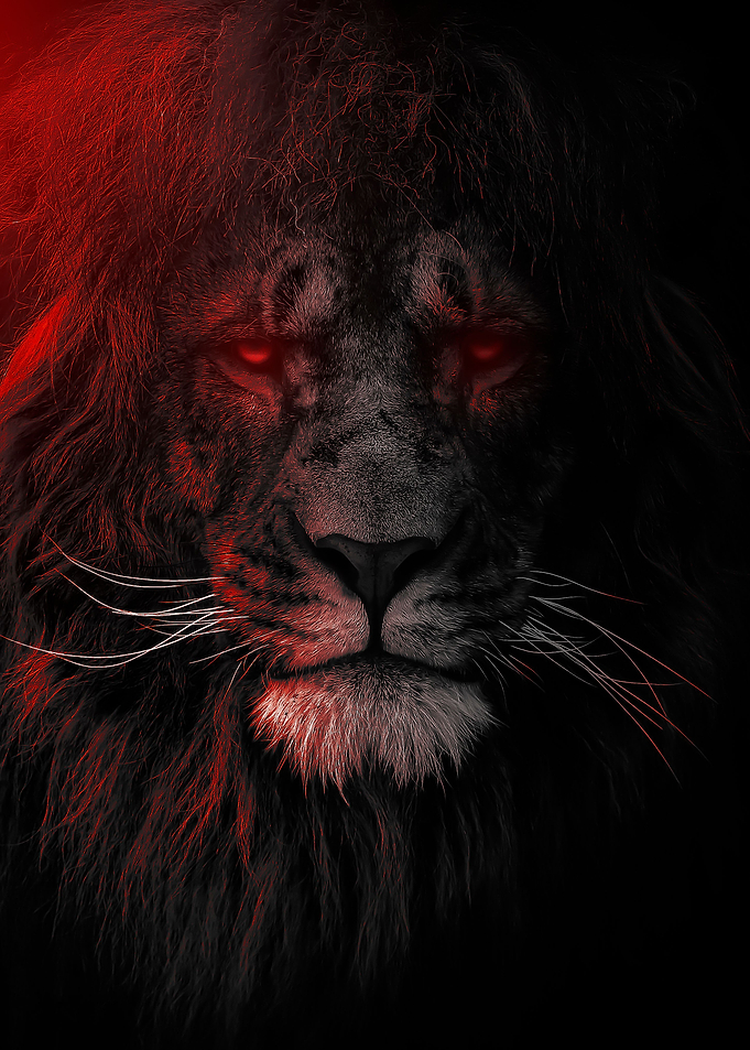 dark red lion king head