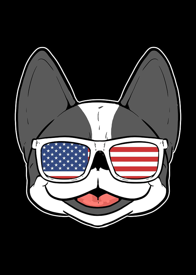 French Bulldog Cute