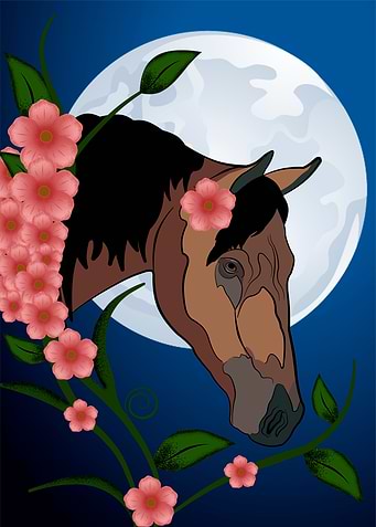 Spring Horse
