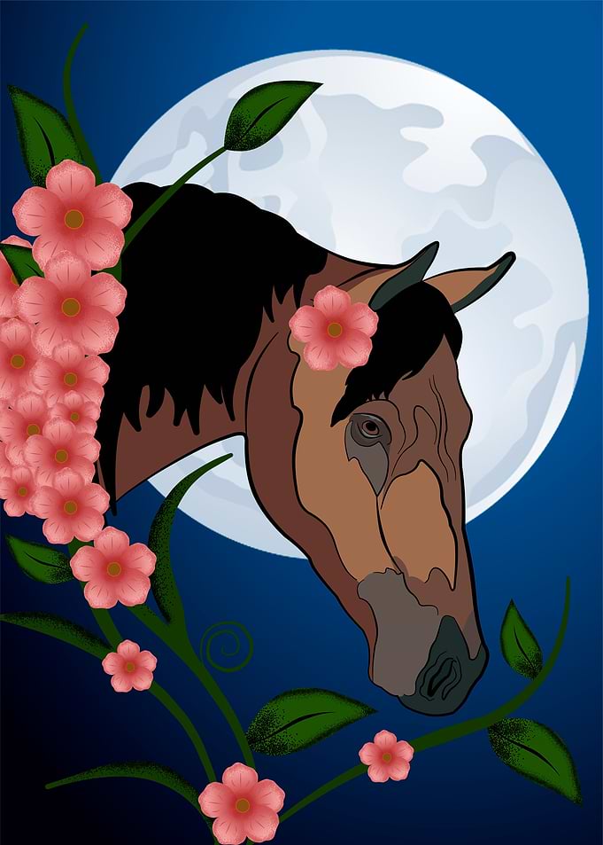 Spring Horse