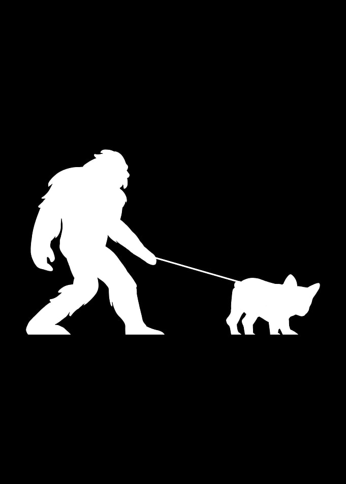 French Bulldog Bigfoot