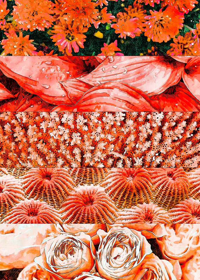 Coral Art