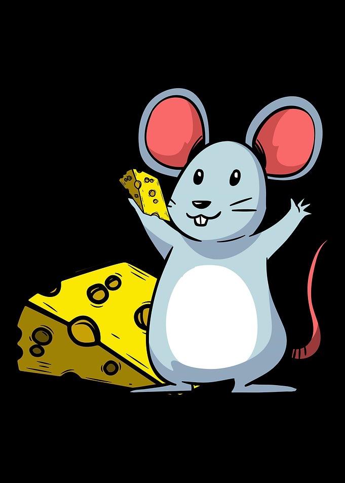 Cheese Food
