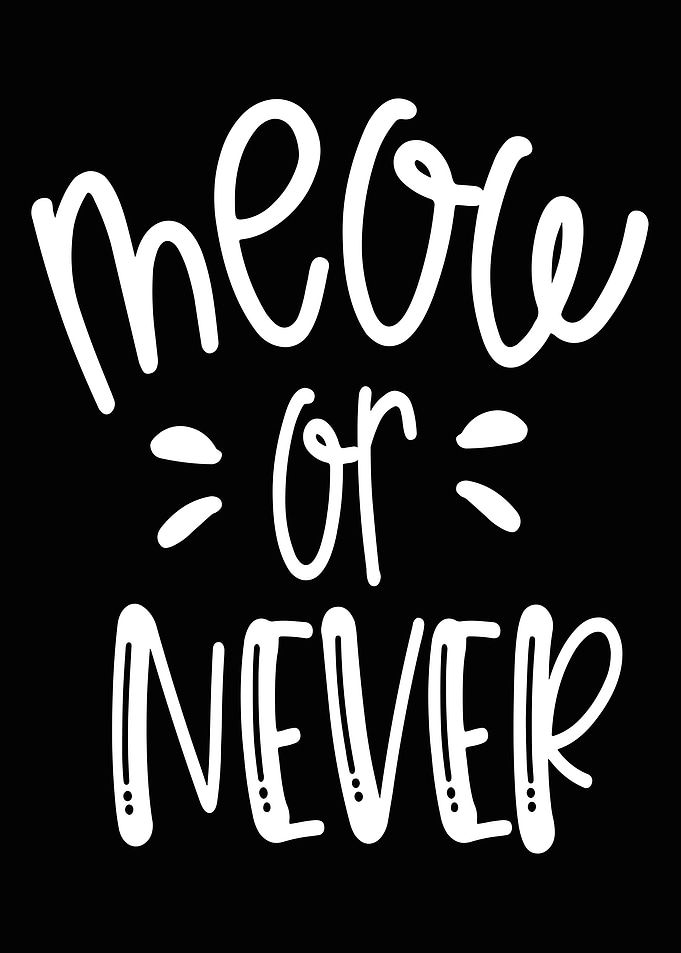 Meow or Never
