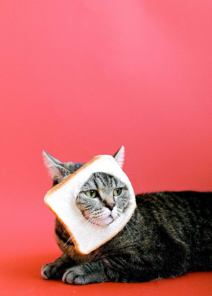 Purebred